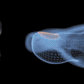 Handheld UV device held over the toenail to treat nail fungus at home