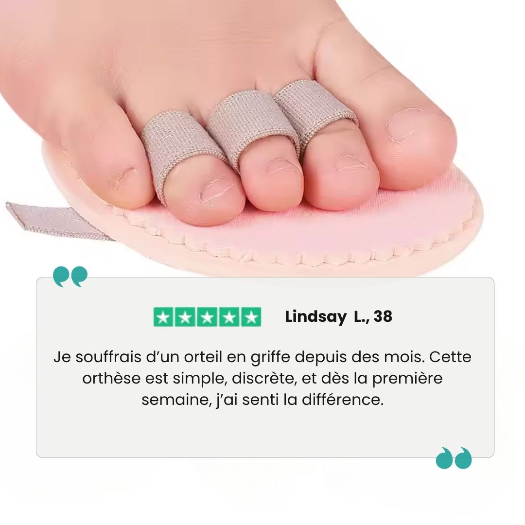 Claw toe corrector with toe loops and a cushion resting under the ball of the foot