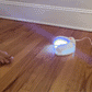 Handheld light therapy device held over the toenail to treat nail fungus