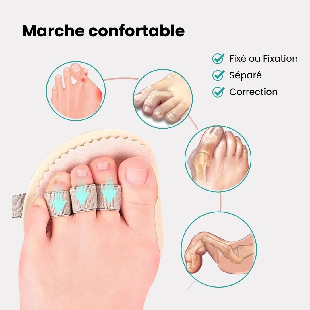 Claw toe corrector with toe loops and a cushion resting under the ball of the foot