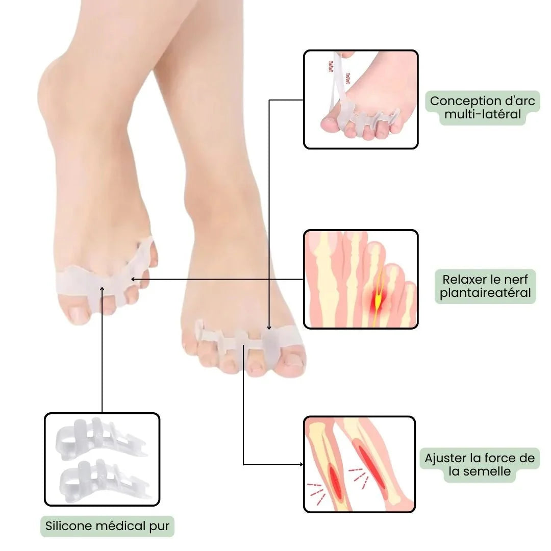 Toe straightener slipped under the claw toes to hold them flat